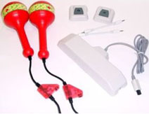 photo d'illustration pour l'article:Samba de amigo sur WII